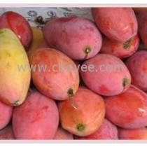 水果保鲜冷库厂商公司 2020年水果保鲜冷库最新批发商 水果保鲜冷库厂商报价 