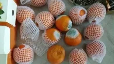 水果烂了一部分还能不能吃？科学保鲜指南助你健康选择