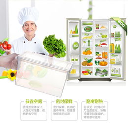 冰箱收纳盒食品冷冻保鲜水果储物盒鸡蛋盒